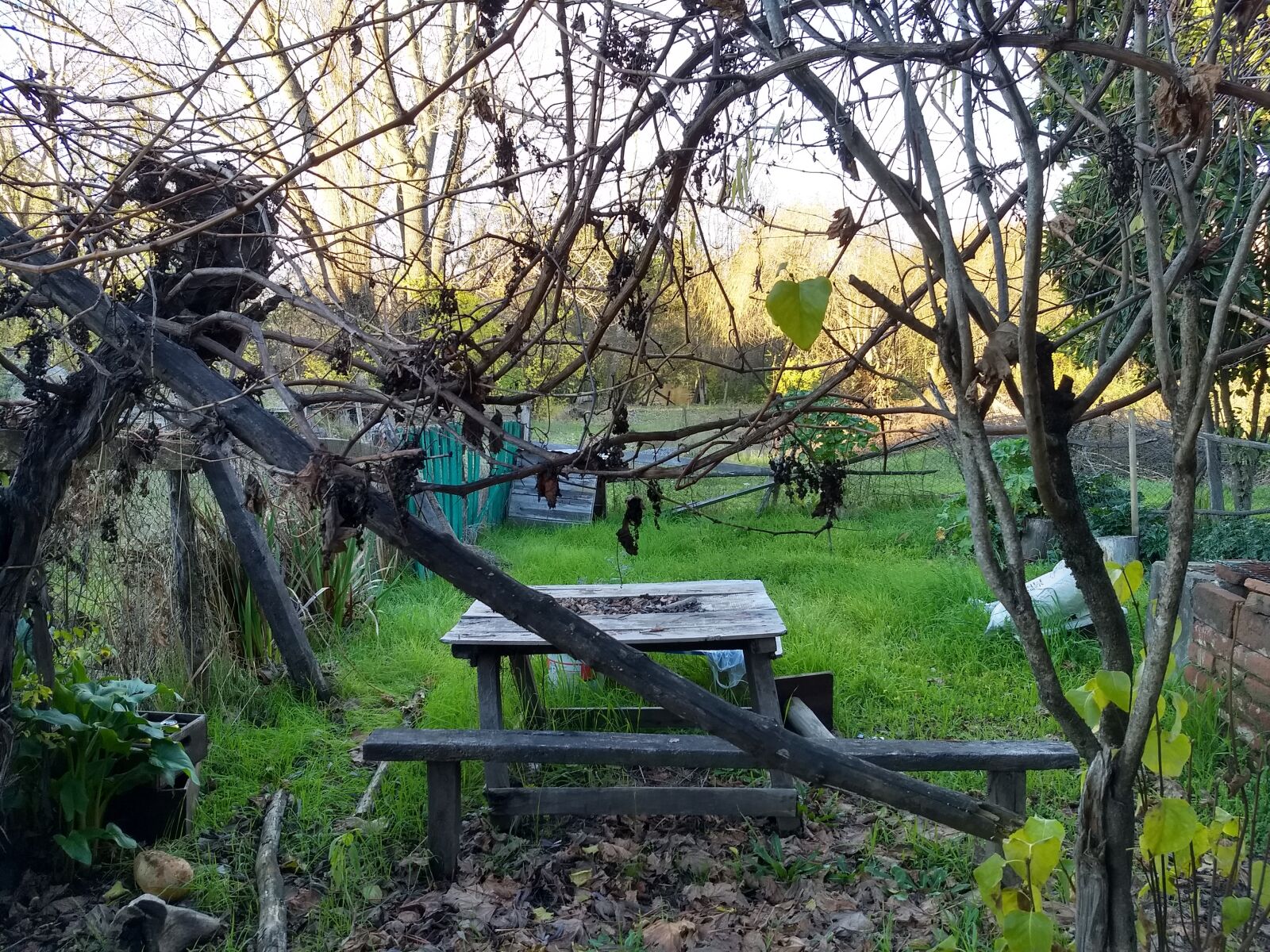 Motorola Moto G (5) Plus sample photo. Patio, river, of course photography