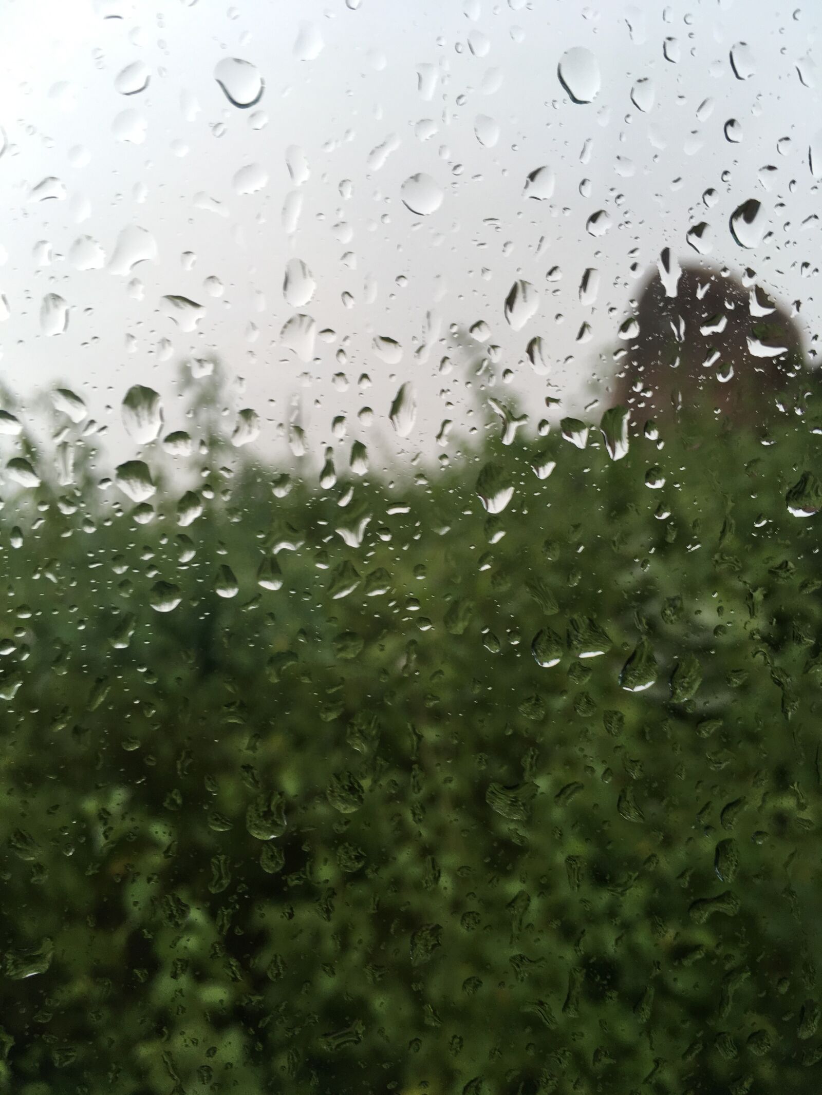 Apple iPhone SE sample photo. Rain drops, glass, droplets photography