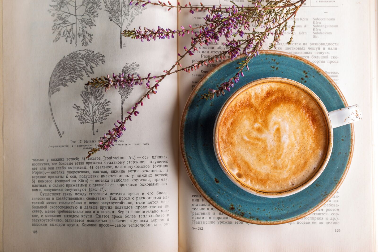 Canon EF 50mm F1.8 II sample photo. Coffee, cappuccino, café photography