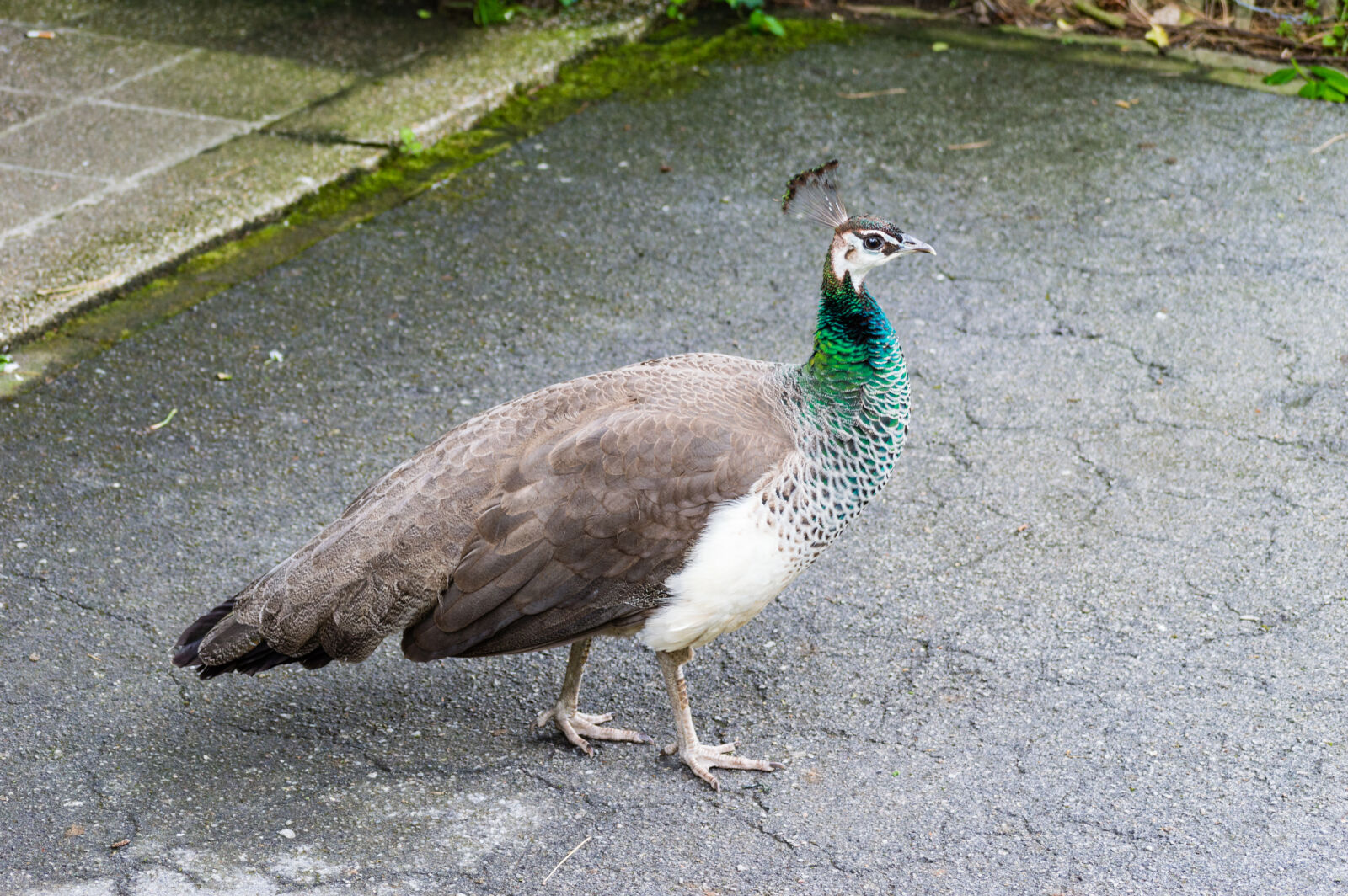 Nikon D3200 sample photo