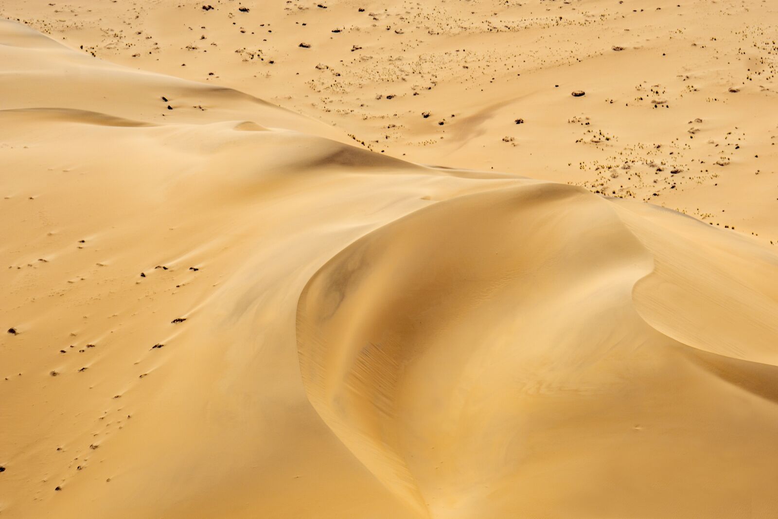 Sony a6000 + Sony FE 70-300mm F4.5-5.6 G OSS sample photo. Namibia, desert, sand photography