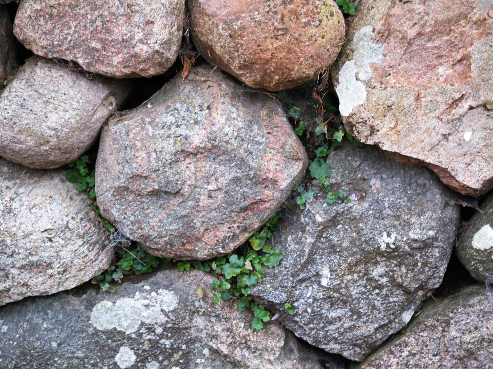 Olympus E-500 (EVOLT E-500) sample photo. Stone, wall photography