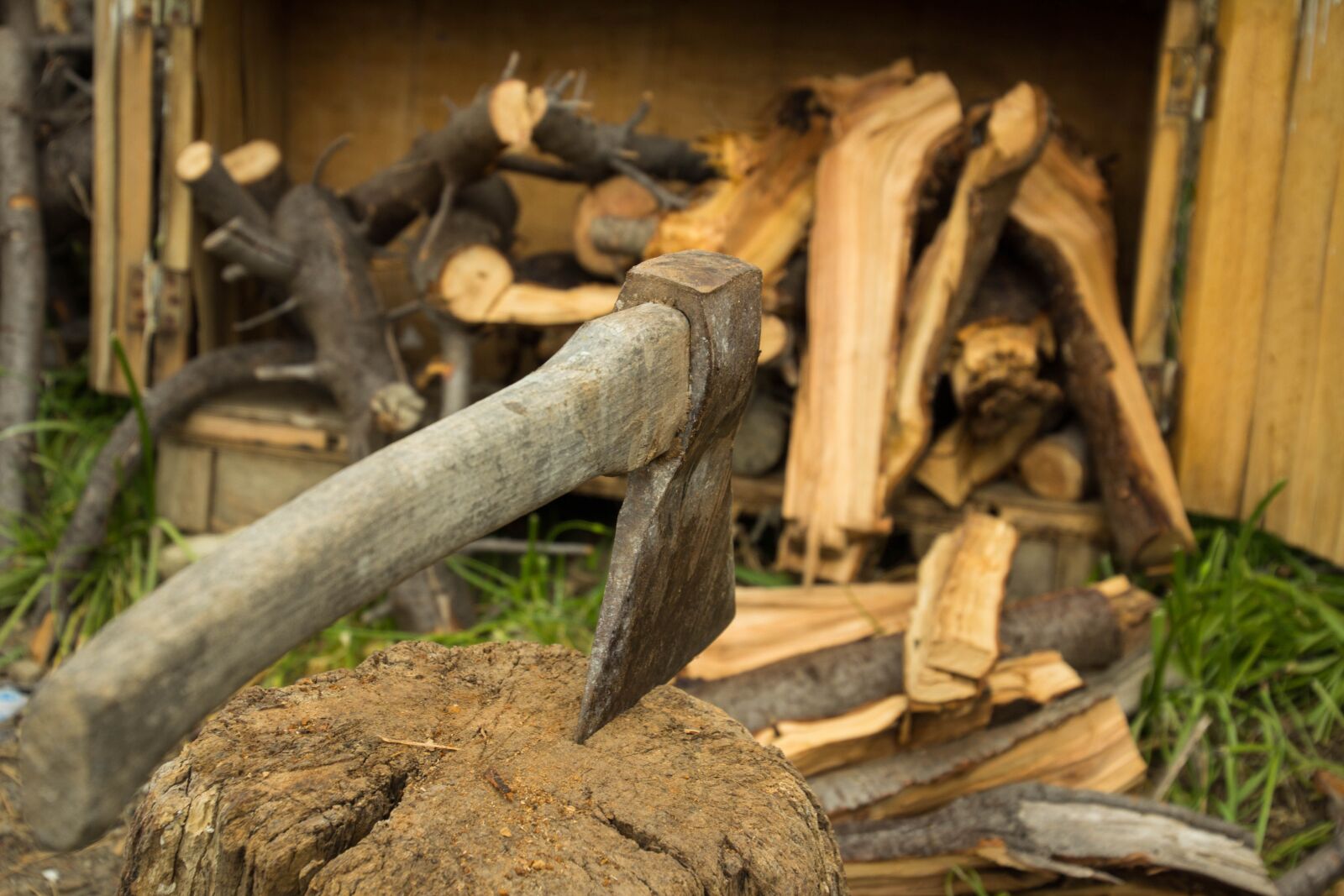 Canon EOS 60D sample photo. Ax, firewood, nature photography