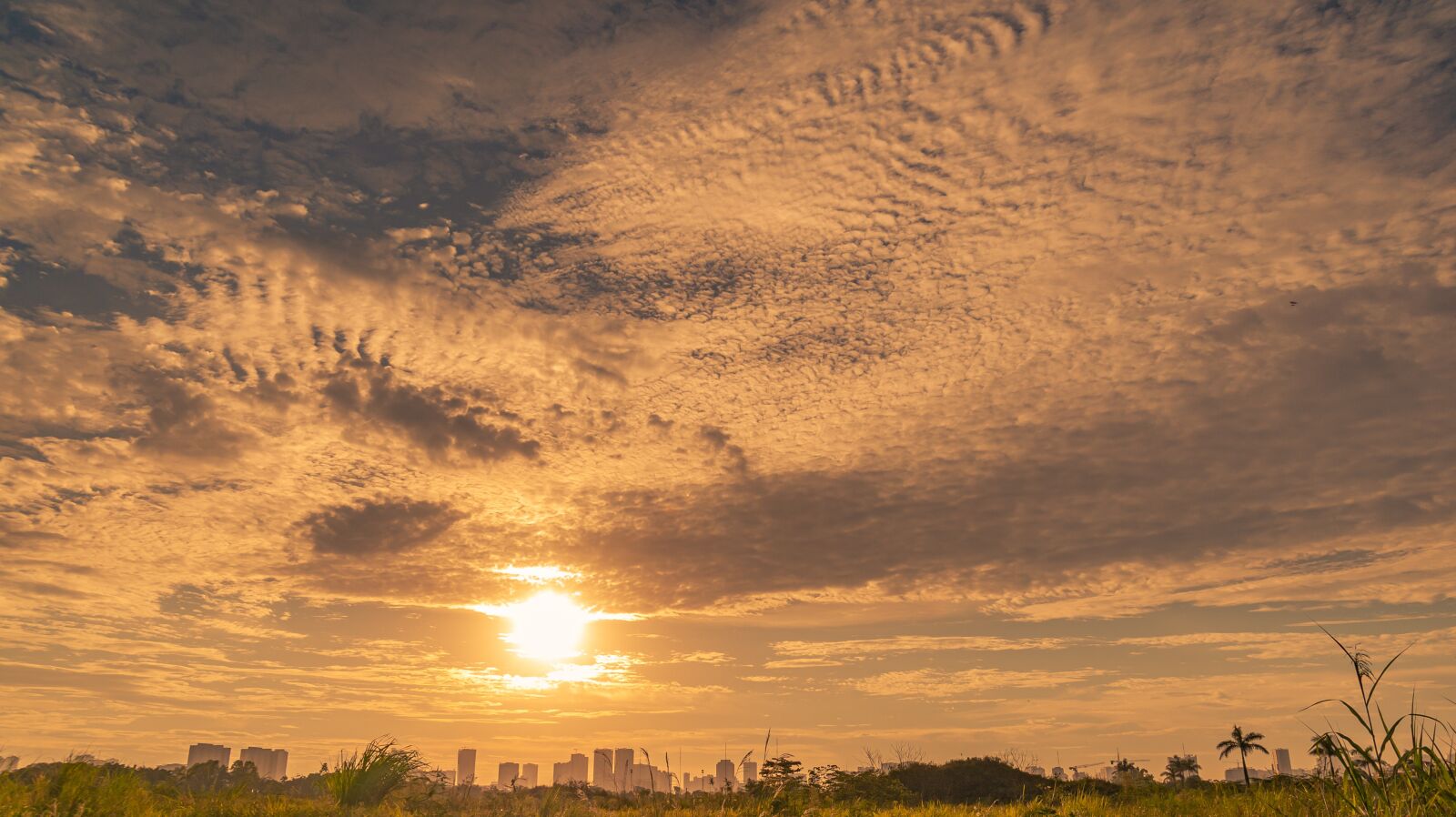 Nikon D700 sample photo. Sunset, sunshine, sky photography
