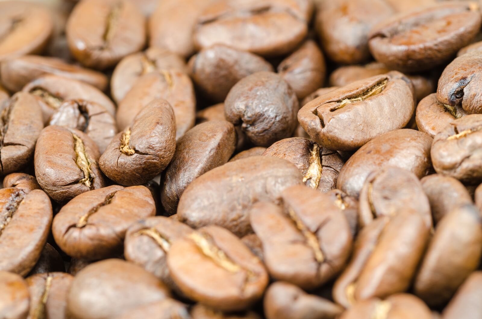 Nikon D5100 sample photo. Coffee, brown, caffeine photography