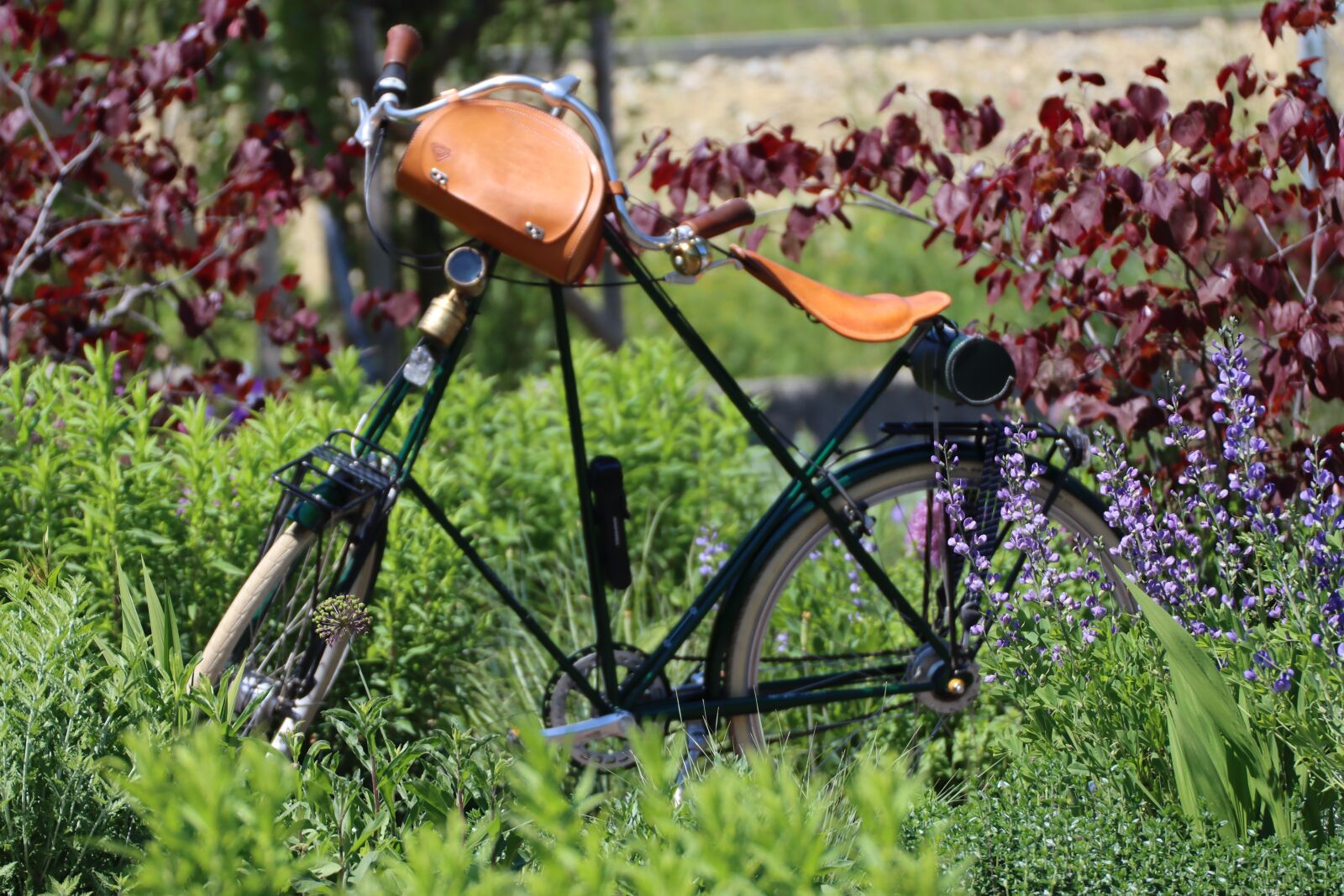Canon EOS 90D sample photo. Velo, bike, more photography