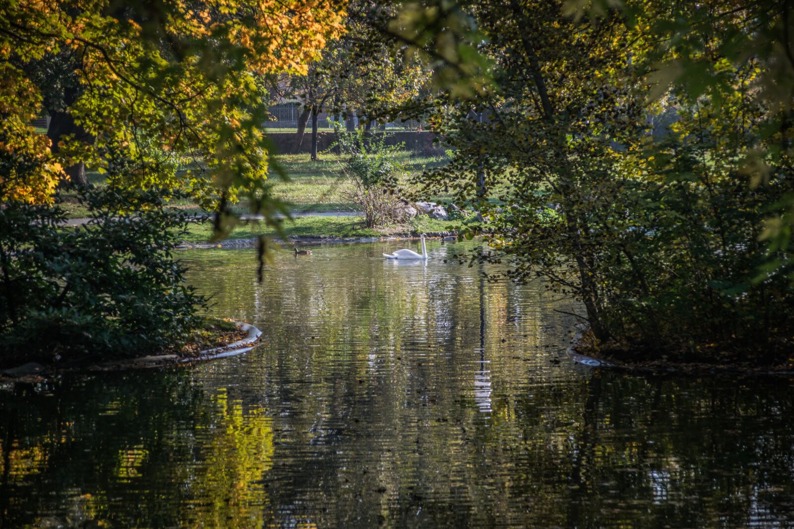 Nikon D5300 sample photo. Lake, reflection, water photography