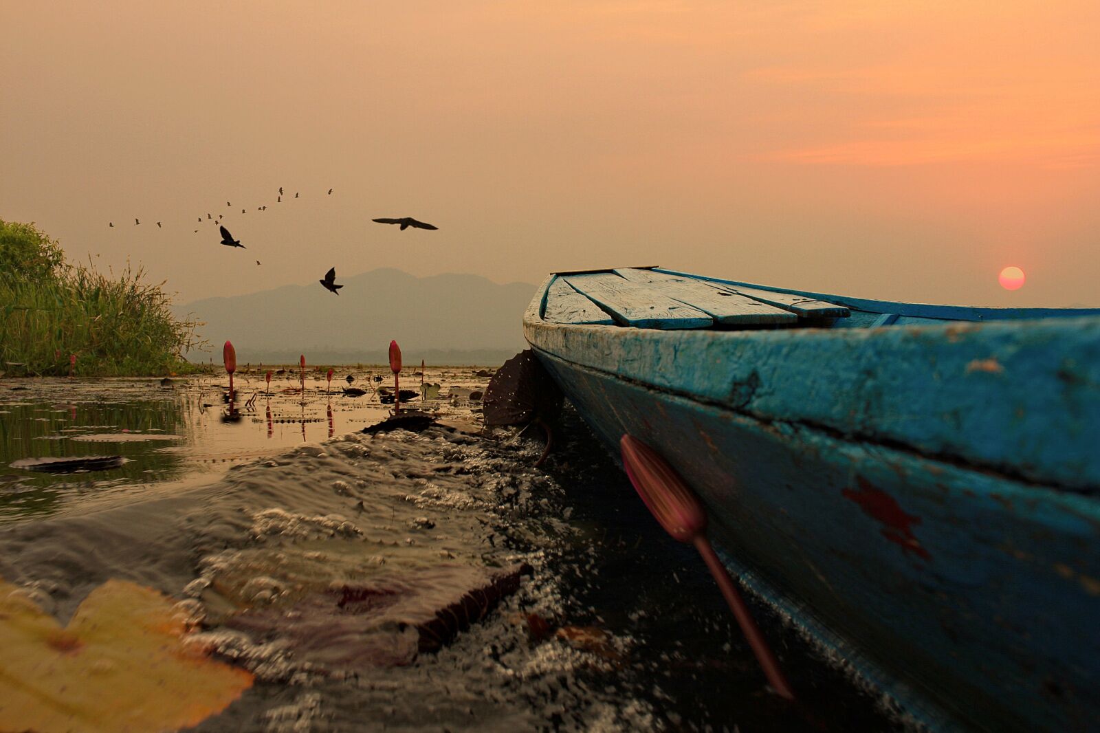 Canon EOS 40D sample photo. Sunset, lagoon, nature photography