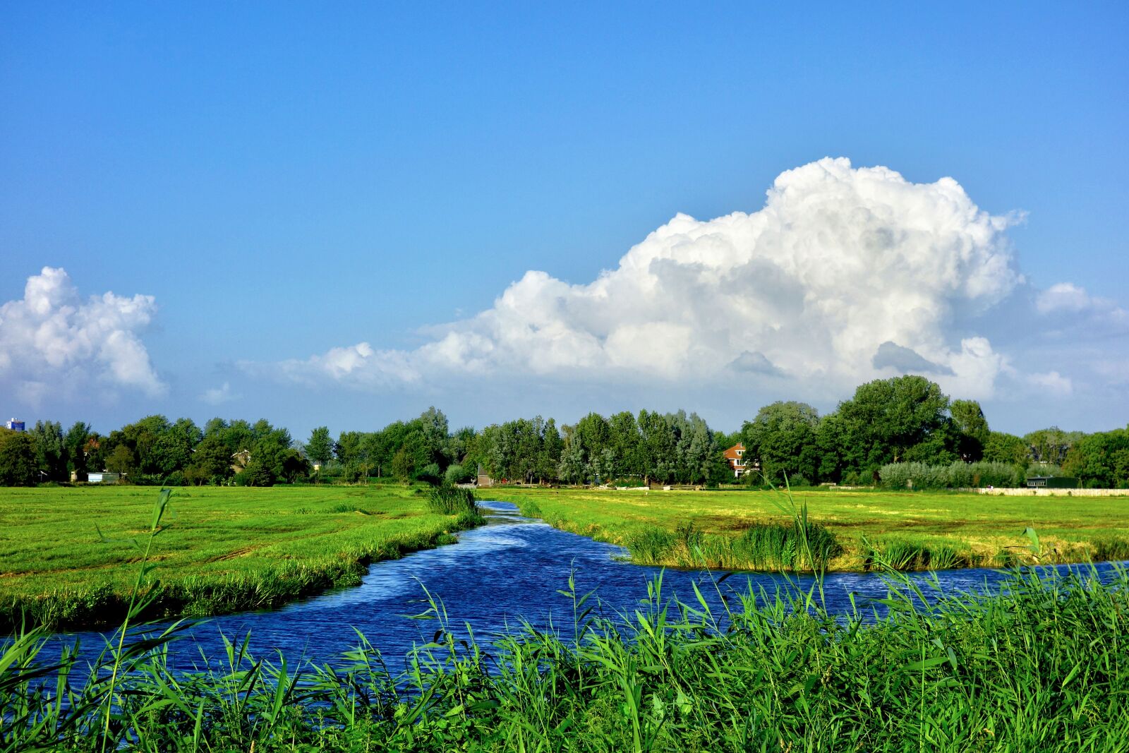 Sony Cyber-shot DSC-RX100 sample photo. Water, waterway, meadow photography