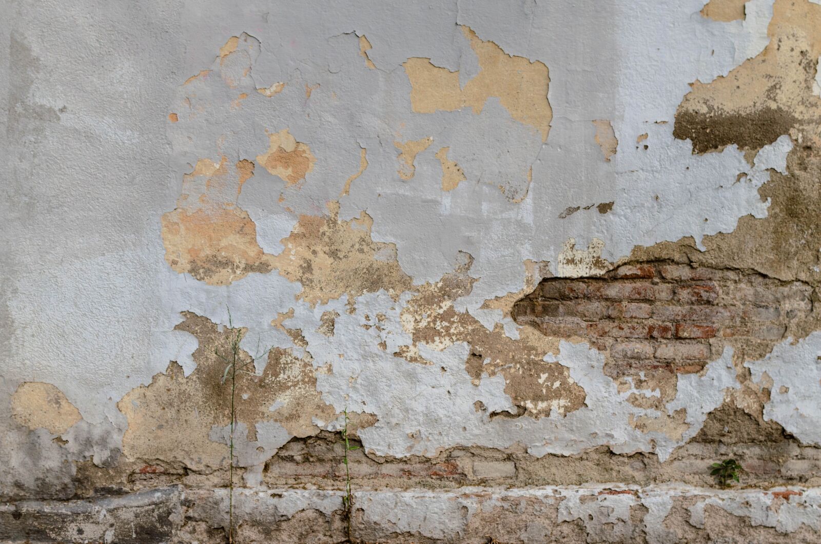 Nikon D5100 sample photo. Brick, wall, texture photography
