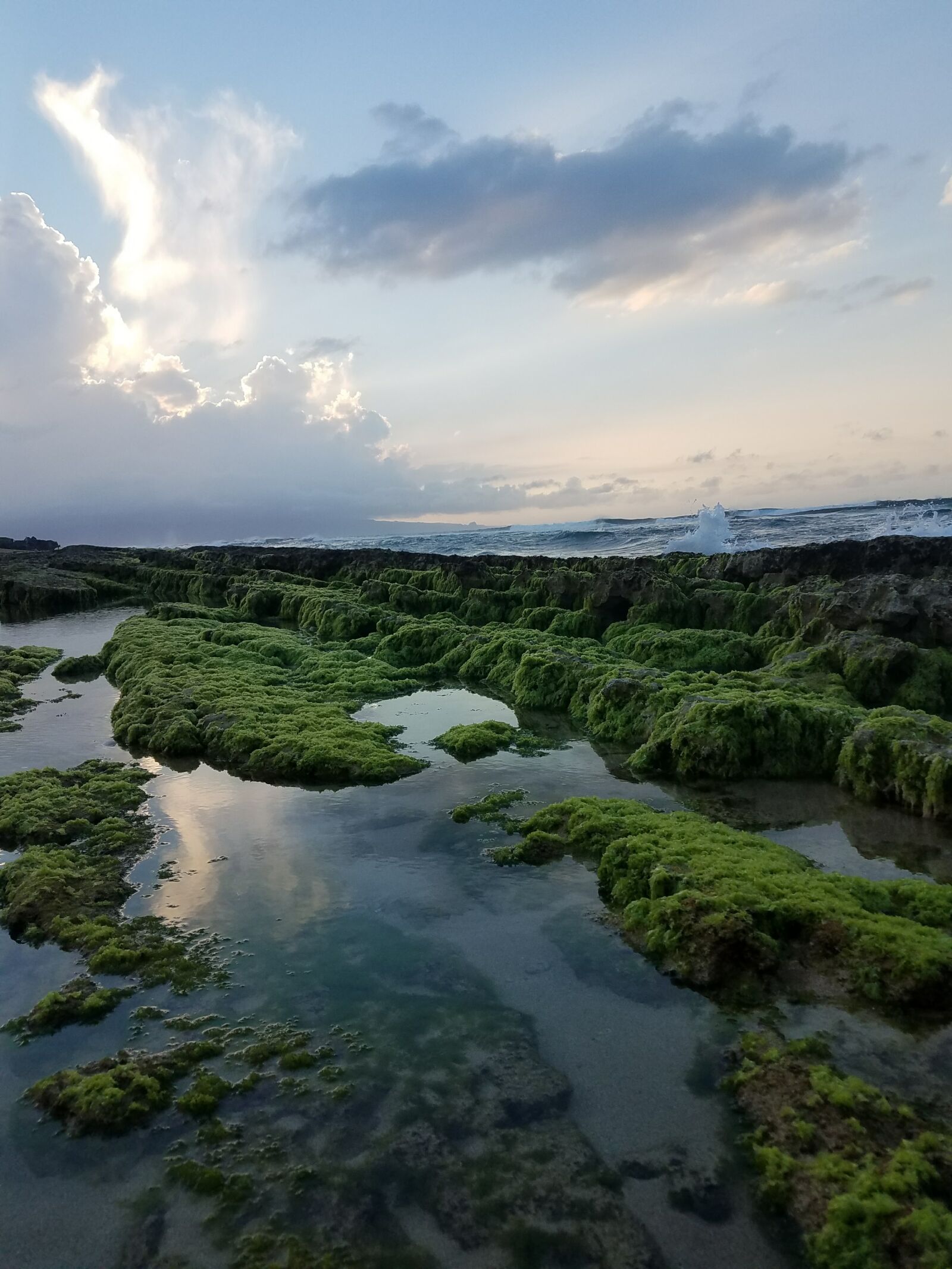 Samsung Galaxy S7 Edge sample photo. Algae, coast, line, hawaii photography