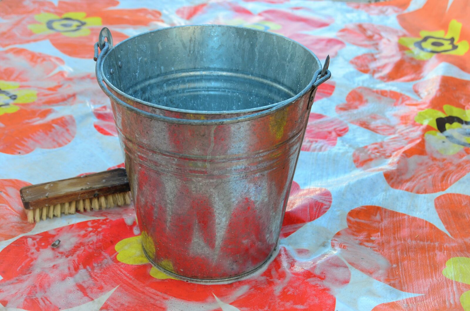 Nikon D7000 sample photo. Root brush, scrub, brush photography