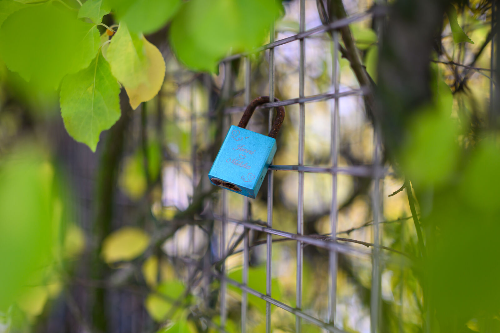 Nikon Z8 sample photo. Blue padlock bokeh photography