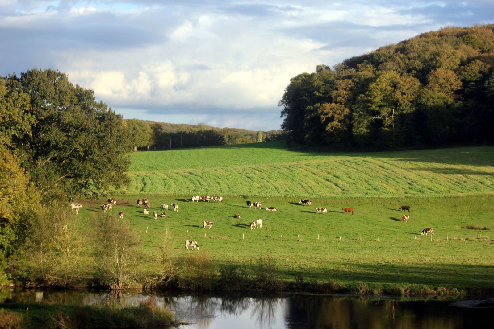 Canon EOS 550D (EOS Rebel T2i / EOS Kiss X4) sample photo. Landscape, brittany, sky photography