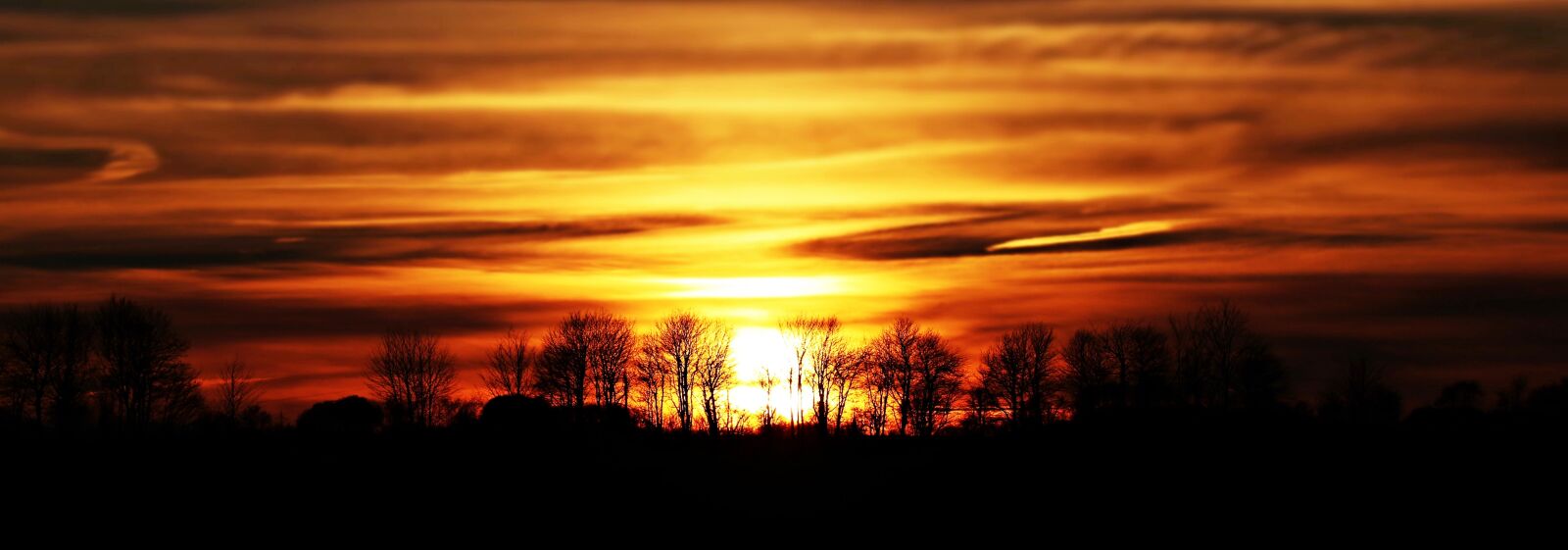 Canon EOS 80D sample photo. Sunset, sun, evening sky photography
