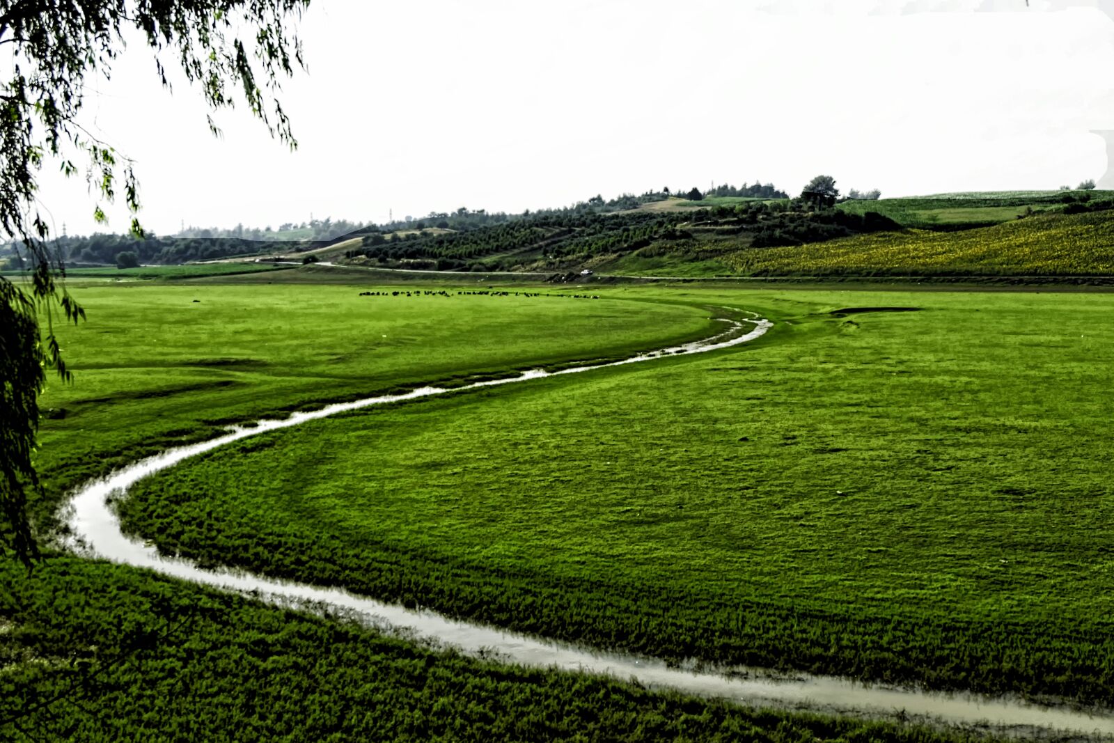 Fujifilm XC 16-50mm F3.5-5.6 OIS II sample photo. Landscape, green, jpeg photography