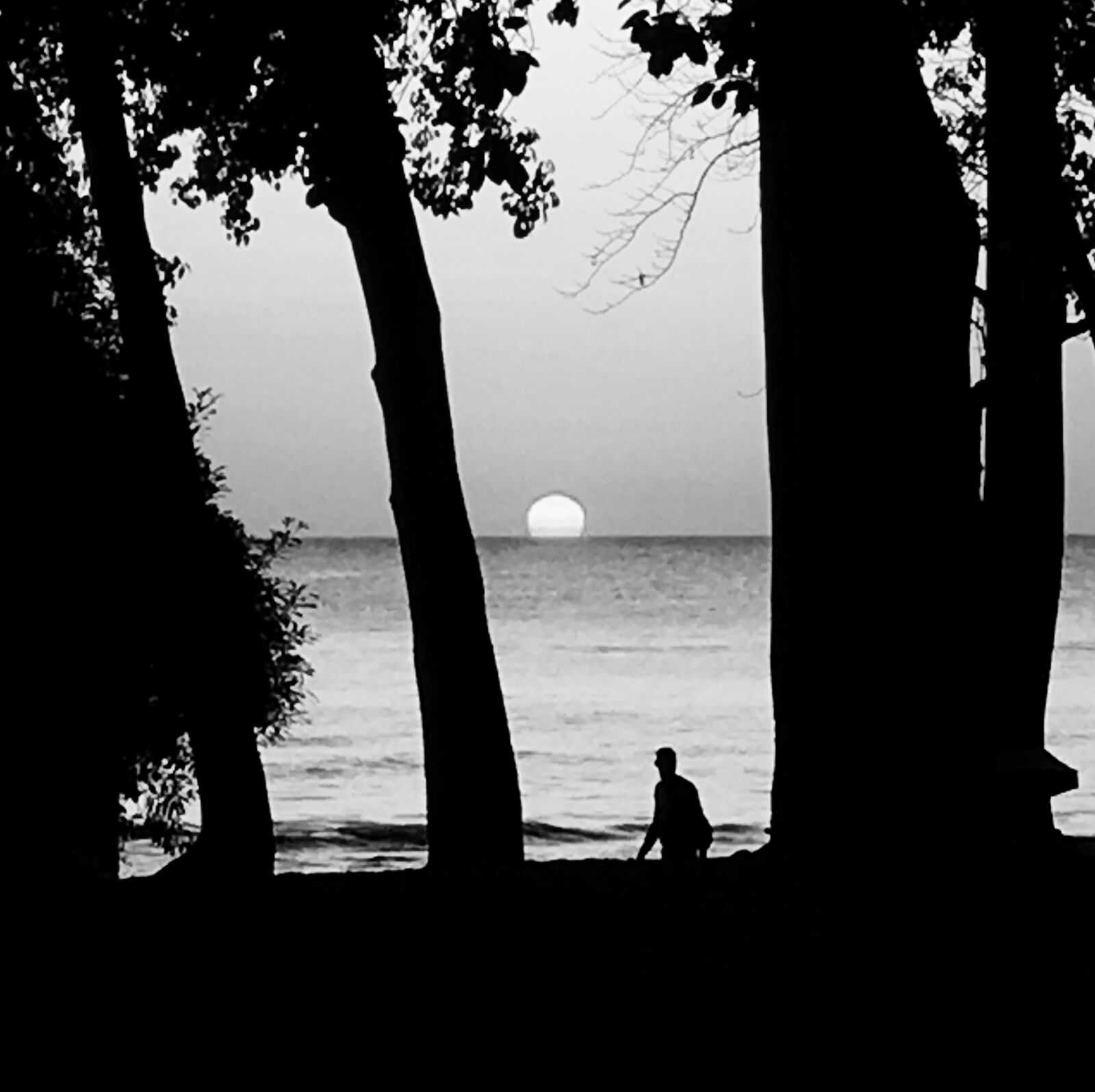 Apple iPhone 6s sample photo. Beach, black, and, white photography