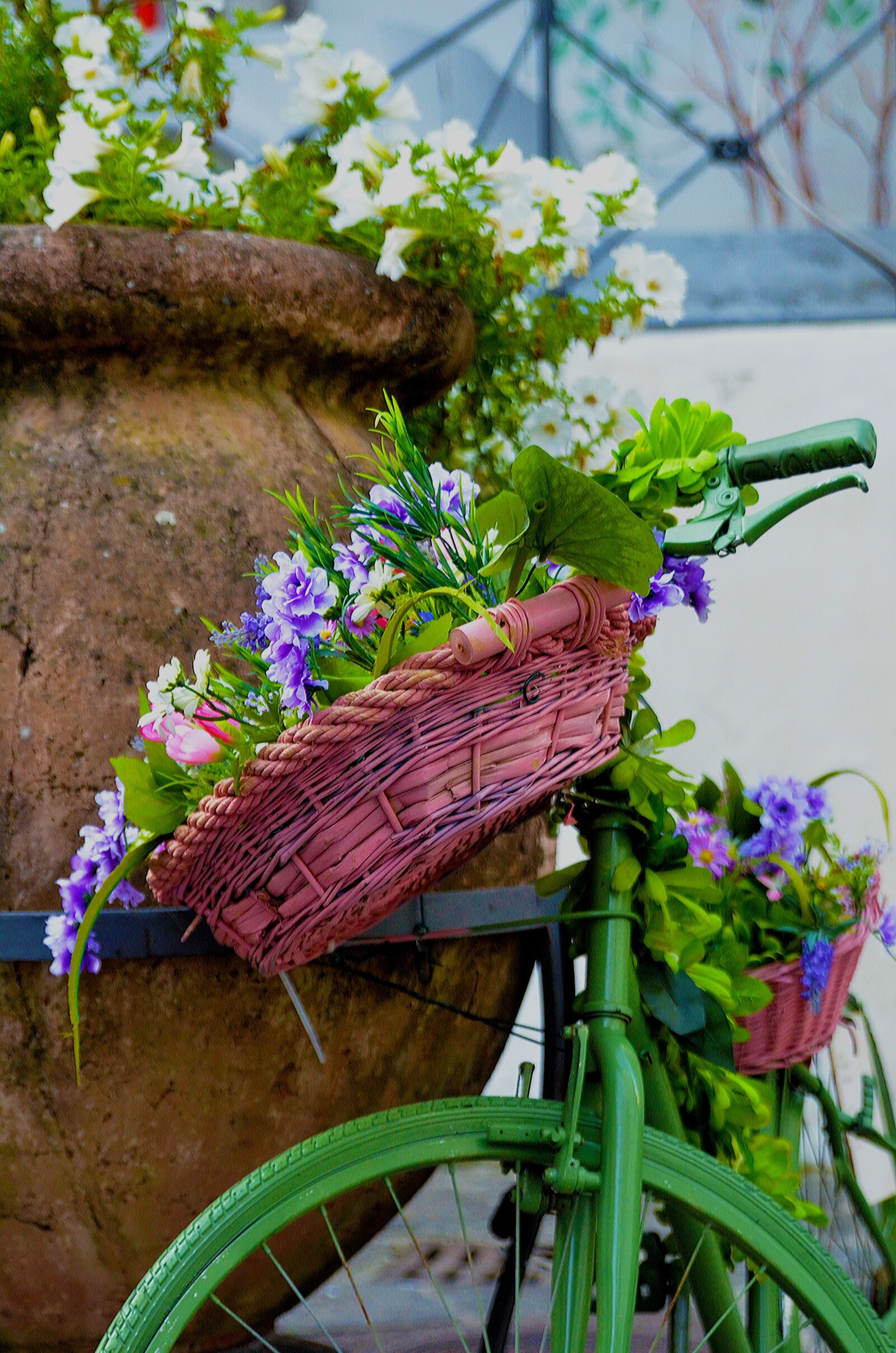 Nikon D7000 sample photo. Nature, flower, flora photography