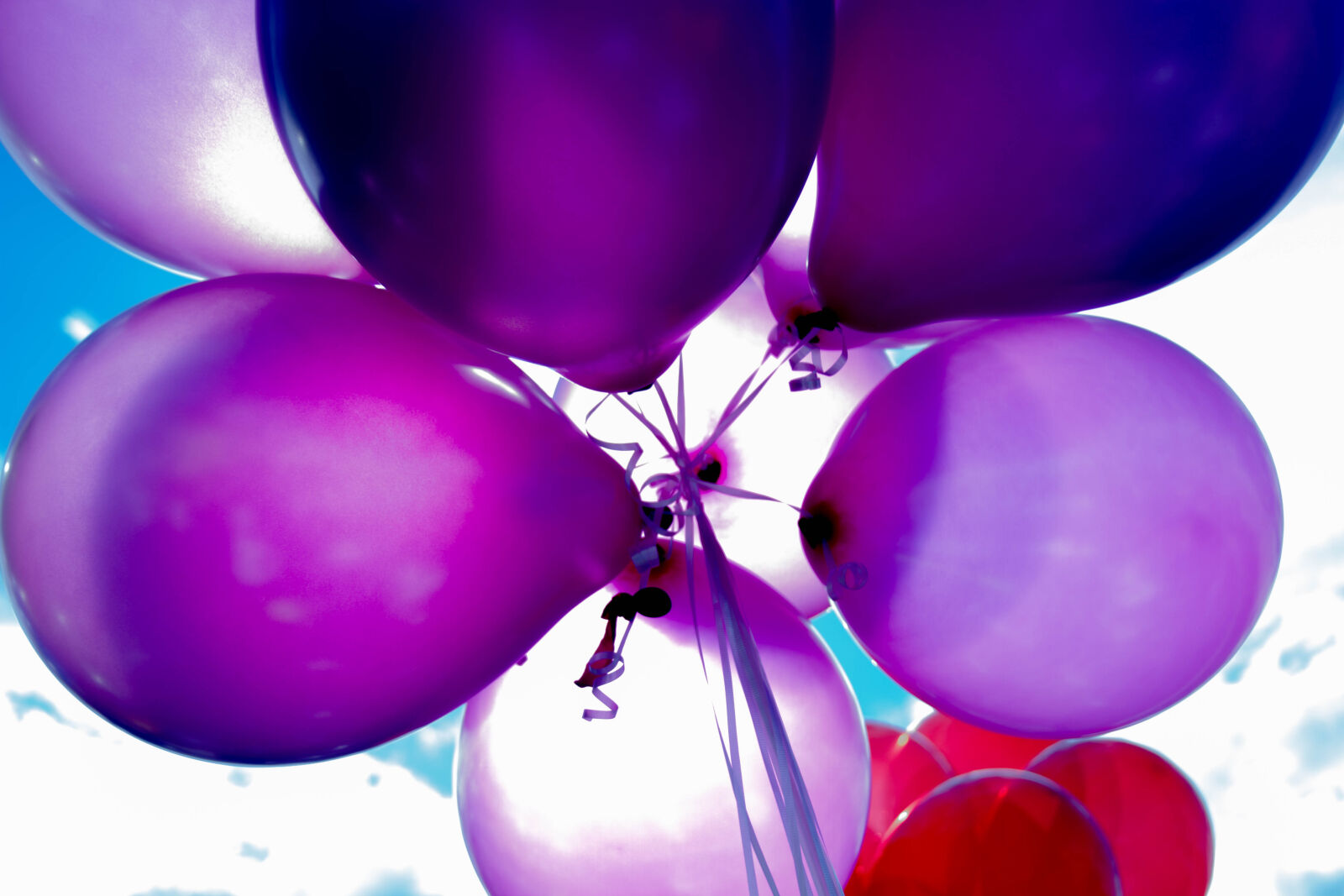 Canon EF 28-135mm F3.5-5.6 IS USM sample photo. Purple, and, red, balloons photography