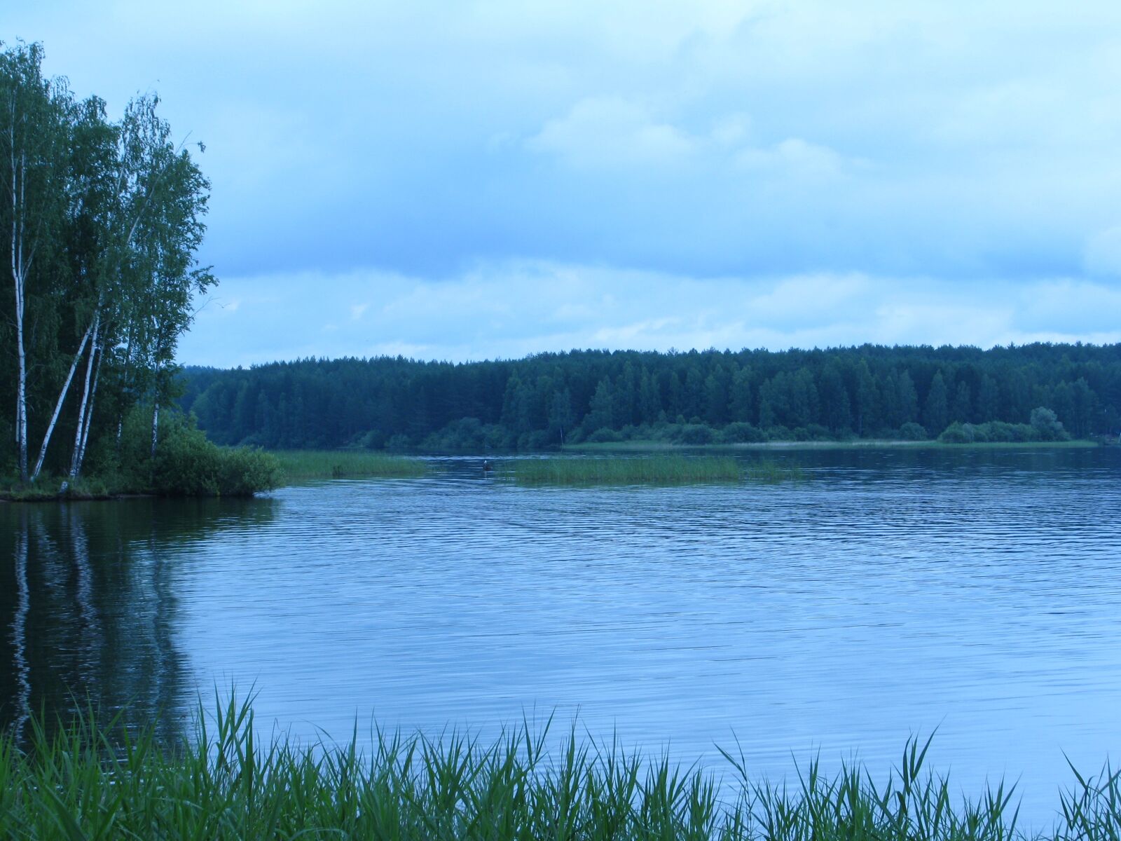 Canon POWERSHOT S5 IS sample photo. Landscape, summer, nature photography
