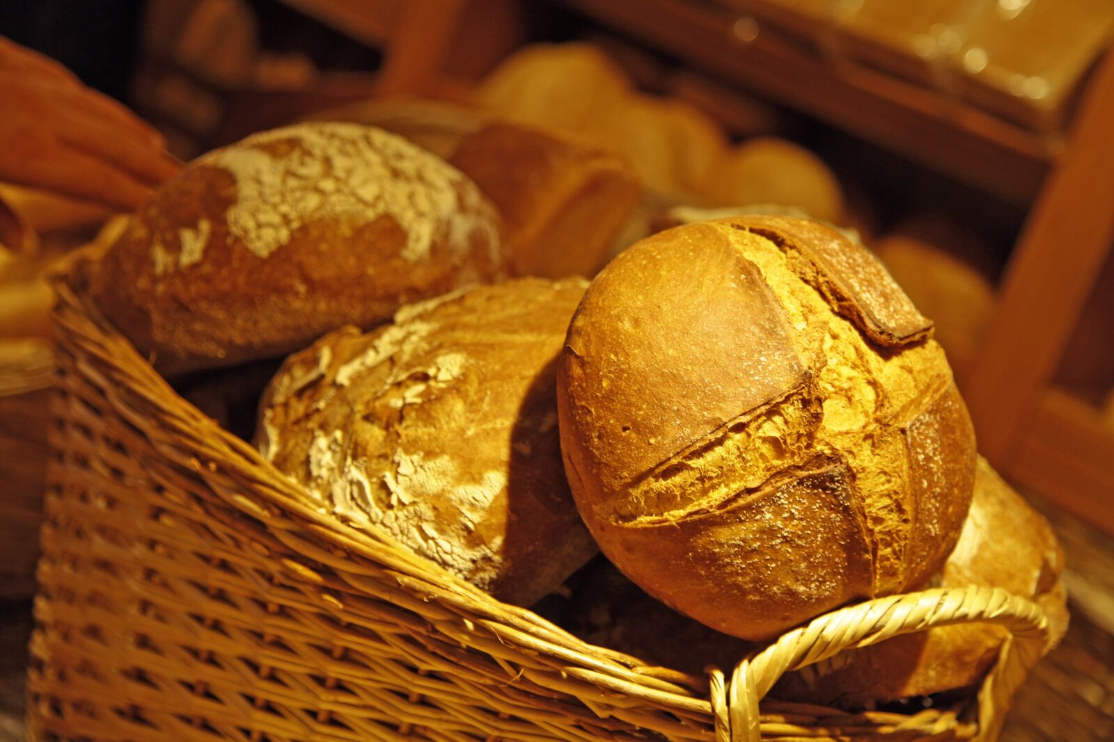 Canon EOS 5D Mark II sample photo. Bread, bakery, village bread photography