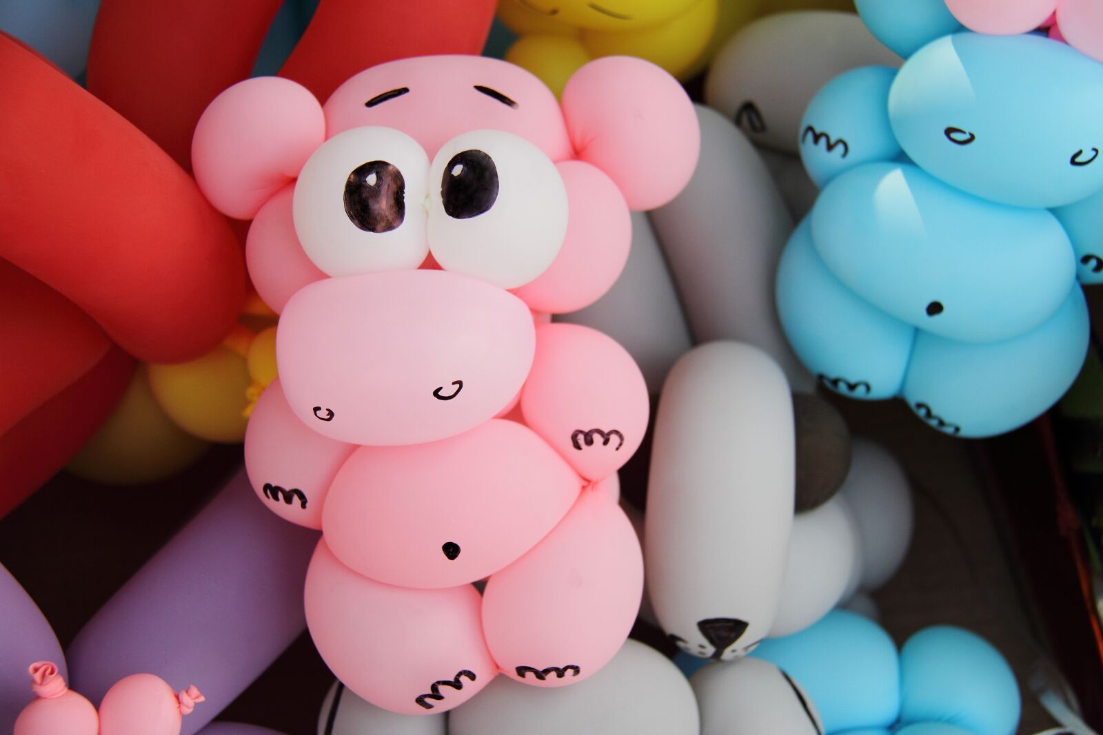 Canon EOS 7D sample photo. Balloon, animal, animals photography