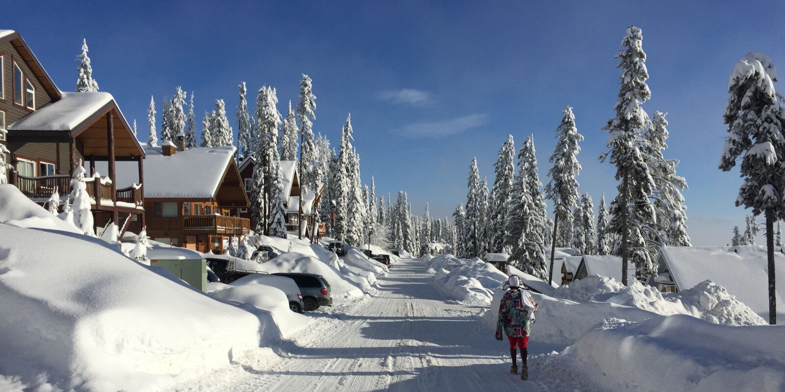 Apple iPhone 6 sample photo. Winter, canada, british columbia photography