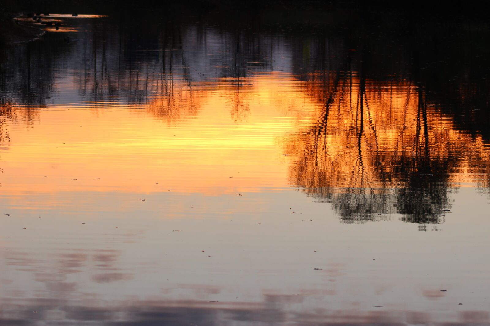 Canon EF 75-300mm f/4-5.6 sample photo. Lake, water, nature photography