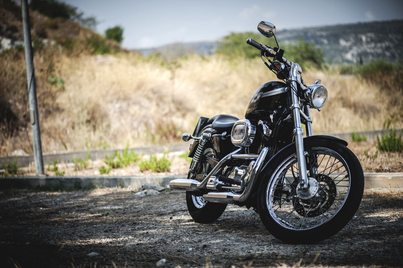 Nikon D700 sample photo. Biker, harley, harley davidson photography