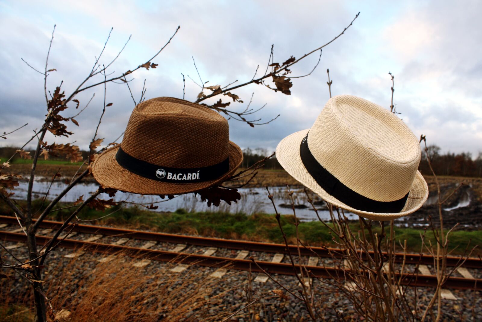Canon EOS 1000D (EOS Digital Rebel XS / EOS Kiss F) sample photo. Straw hat, pair, moor photography