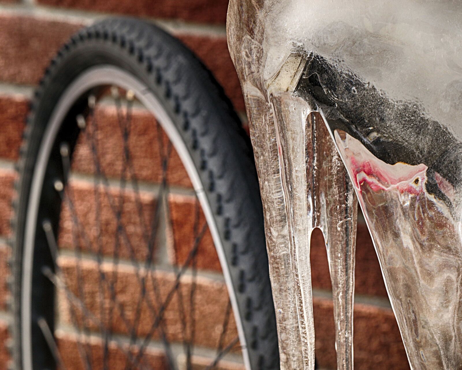 Canon EOS 7D Mark II sample photo. Wheel, tire, outdoors photography