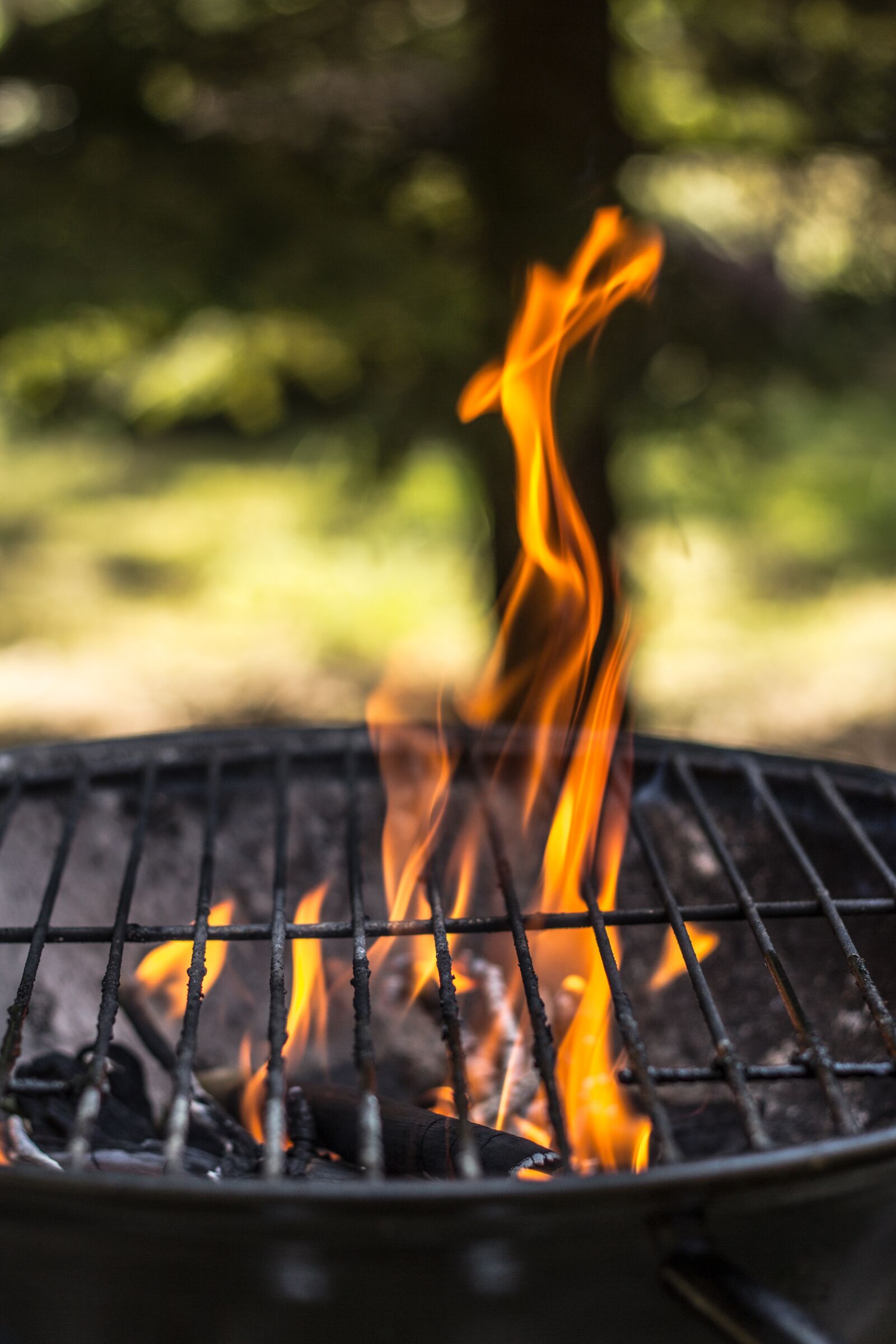 Canon EOS 60D + Canon EF 50mm F1.8 II sample photo. Grill, season on the photography
