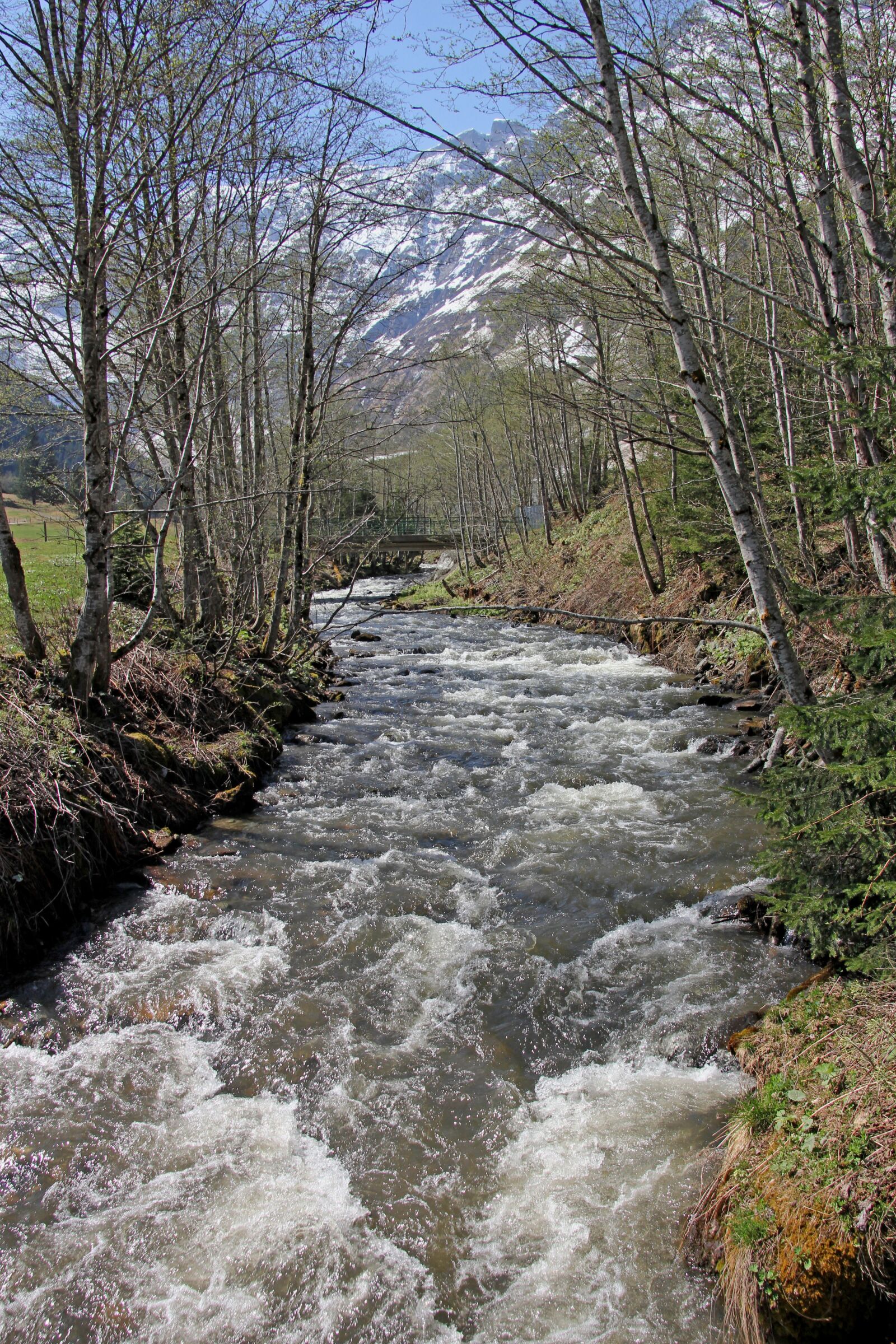 Canon EOS 60D sample photo. Nature, wood, waters photography