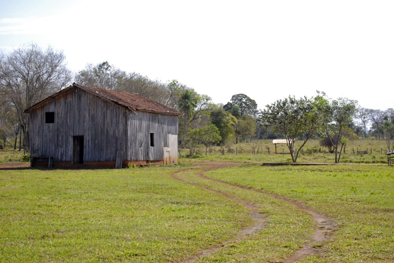 Nikon D80 sample photo. House, nature, tourism, trees photography