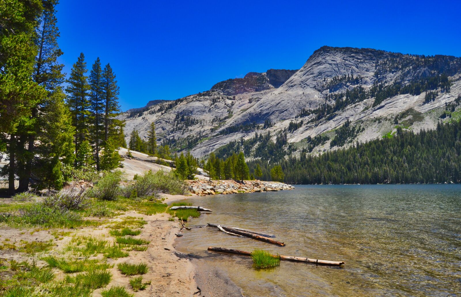 Nikon D3100 sample photo. Lake, landscape, lonely photography