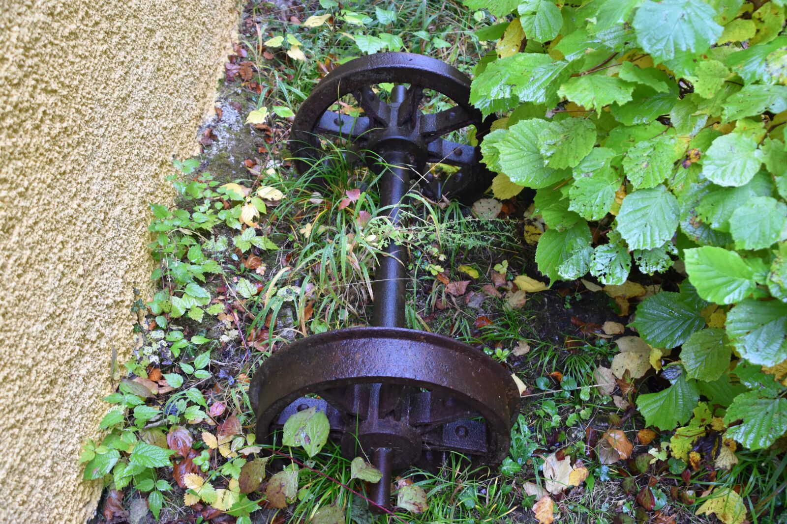 Nikon D5500 sample photo. Old, rust, rusty photography