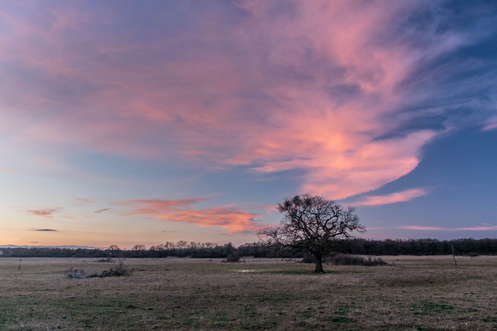 Nikon D5300 sample photo. Tree, sunset, landscape photography