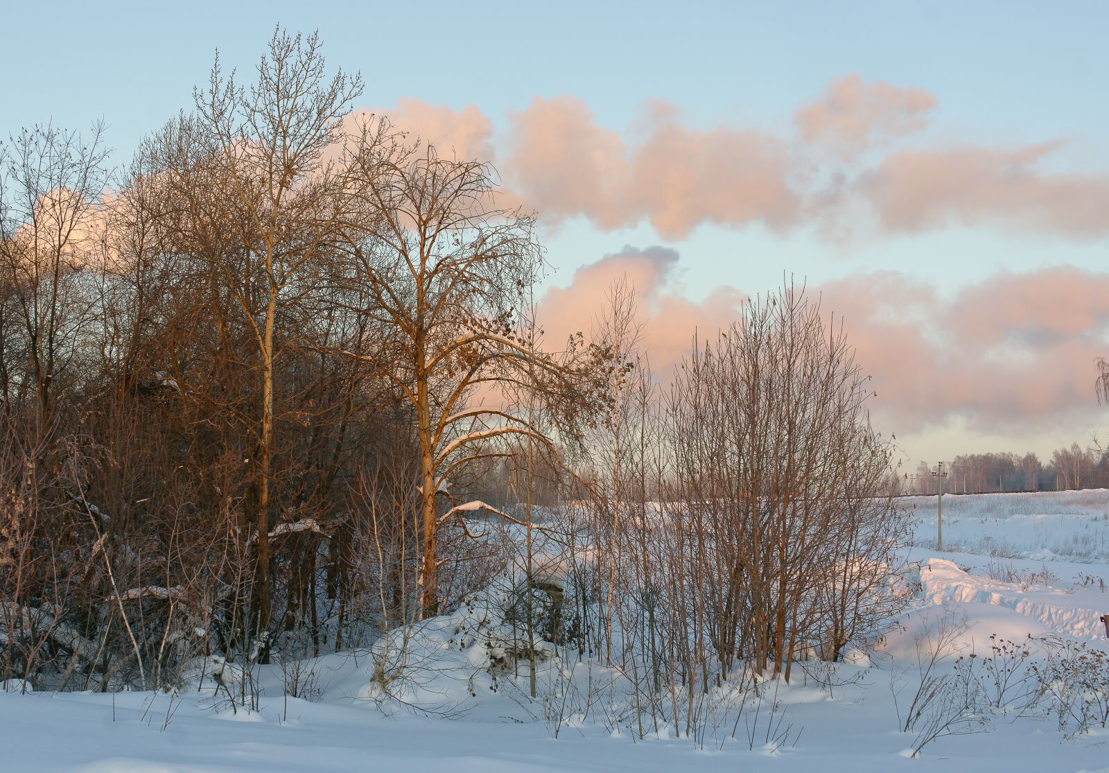 Sony Alpha DSLR-A850 sample photo. Winter, snow, sky photography