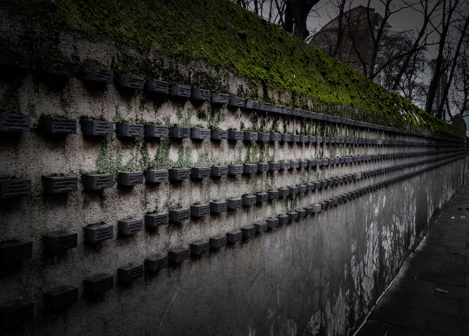Sony Cyber-shot DSC-HX50V sample photo. Jewish cemetery, judaism, monument photography