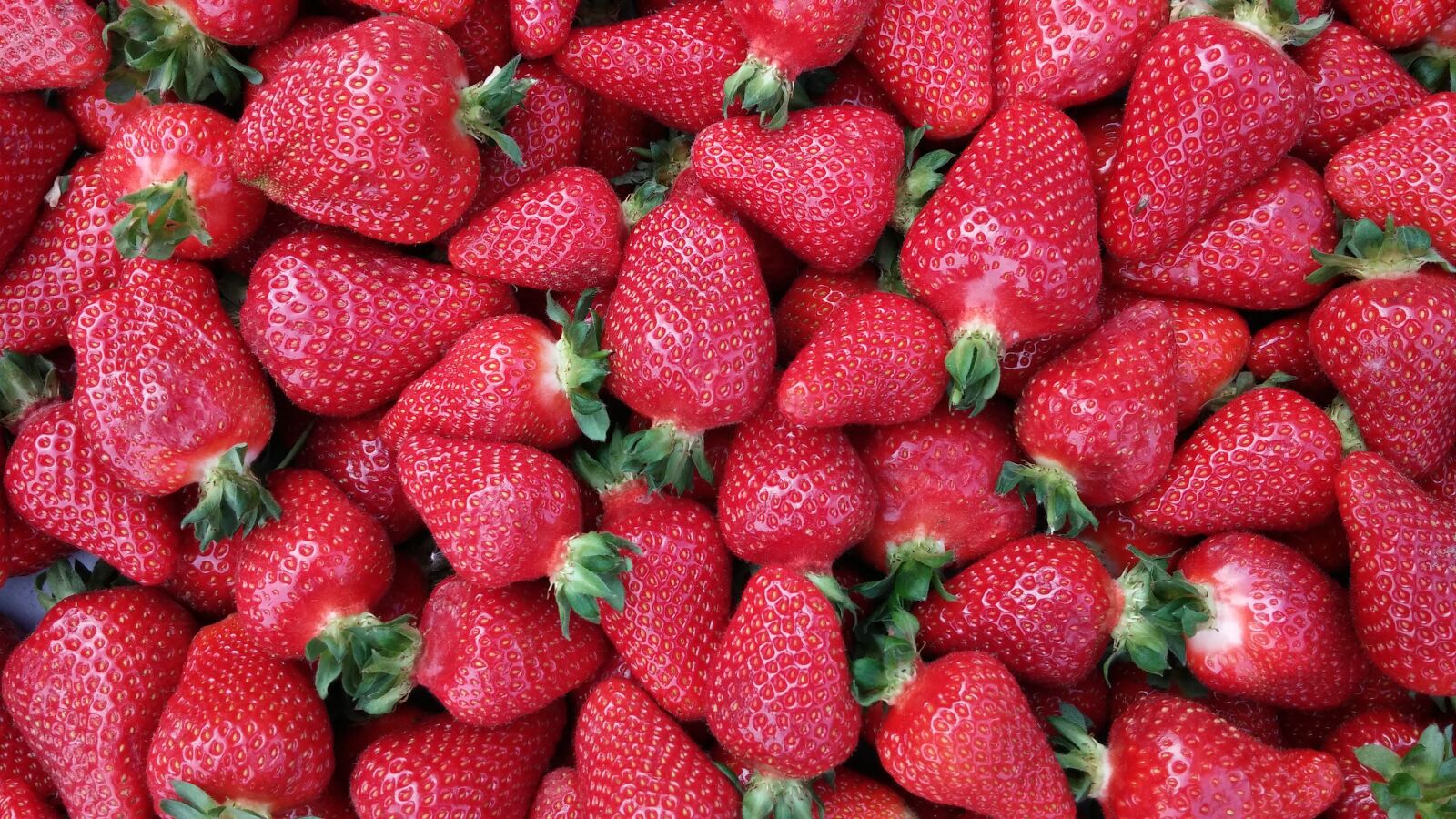 LG G2 sample photo. Strawberry, fruit, fruits photography