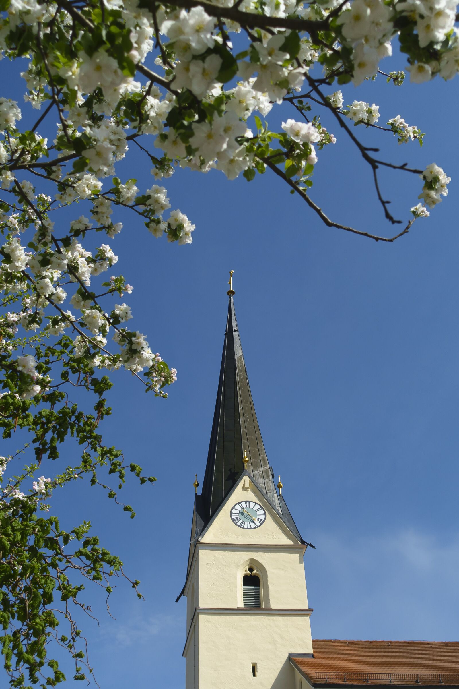 Sony Cyber-shot DSC-RX100 III sample photo. Sky, tree, church photography