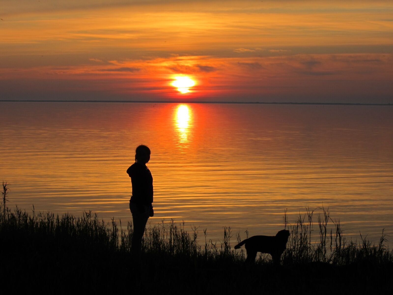 Canon PowerShot ELPH 100 HS (IXUS 115 HS / IXY 210F) sample photo. Sunset, late summer, denmark photography