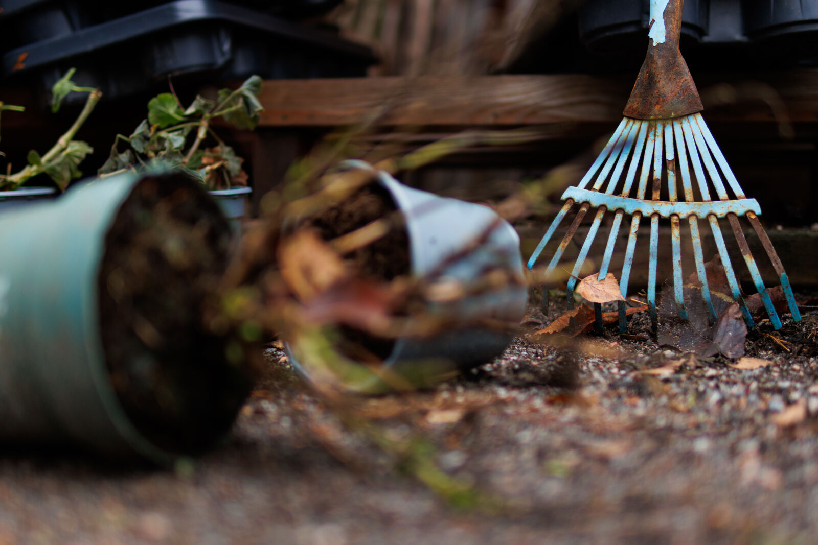 Sigma 30mm F1.4 DC DN | C sample photo. Seasonal rake photography