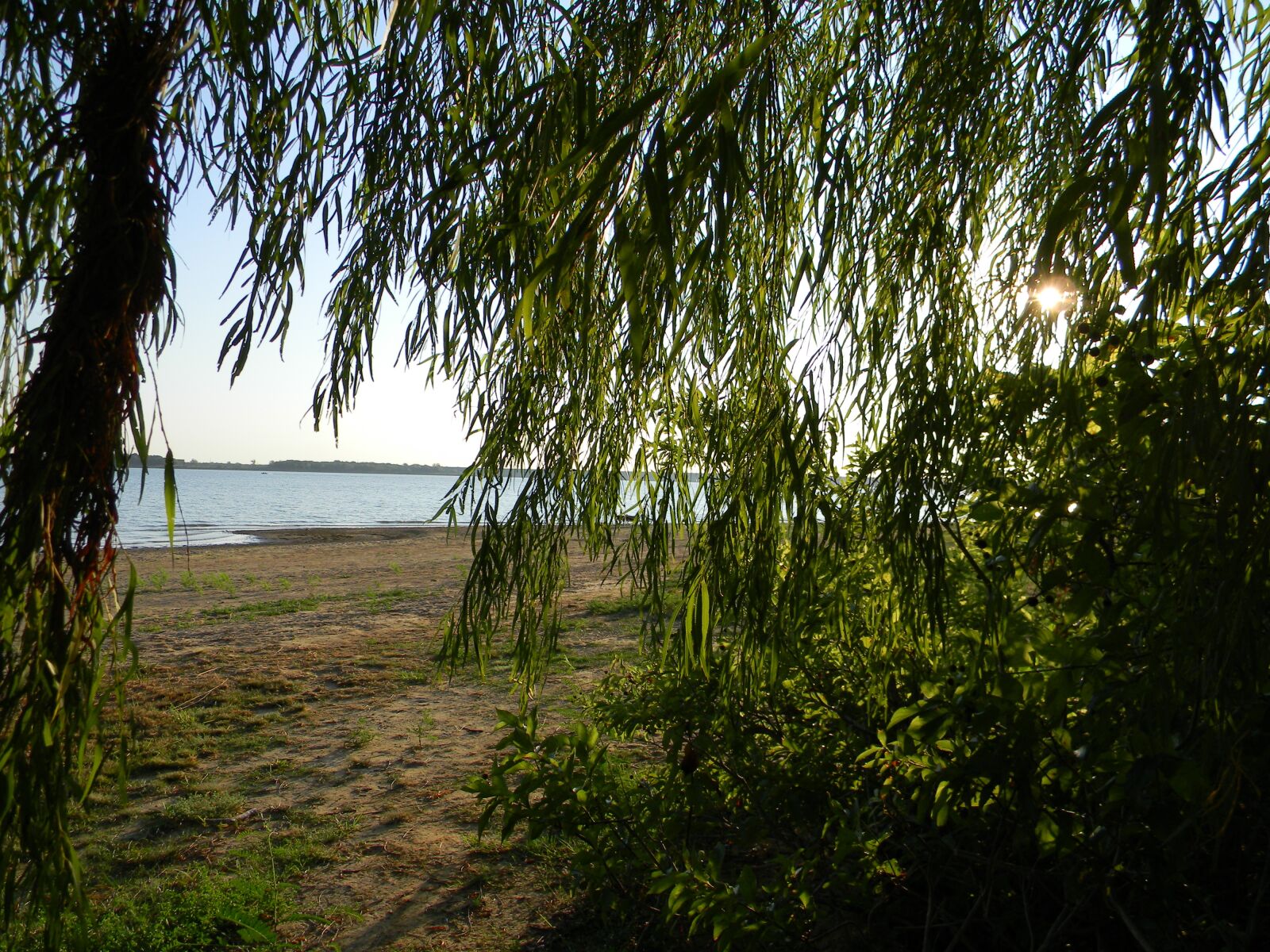 Nikon Coolpix L110 sample photo. Tree, lake, river photography