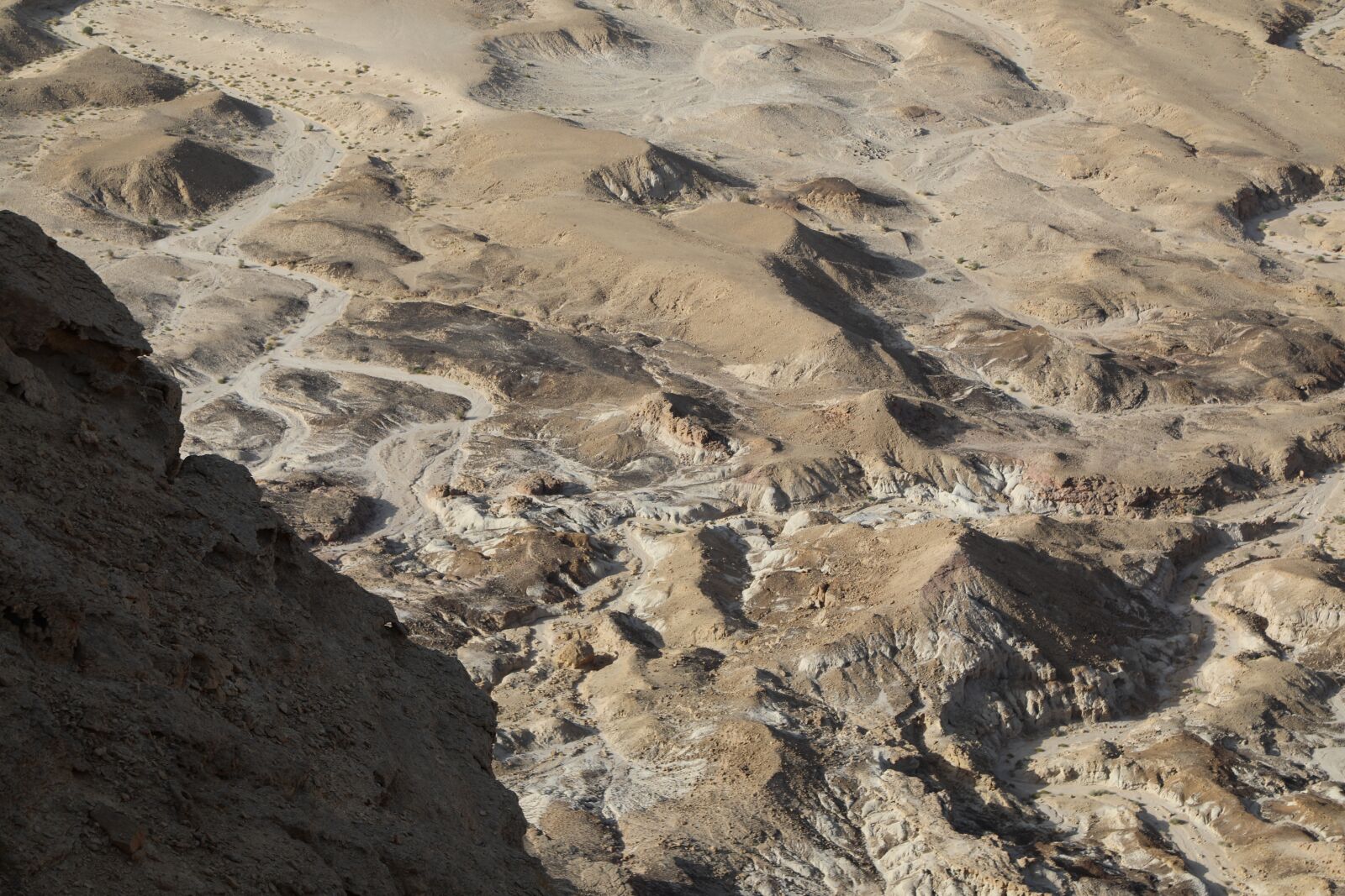 Canon EOS 5D Mark IV sample photo. Israel, desert, judaean desert photography