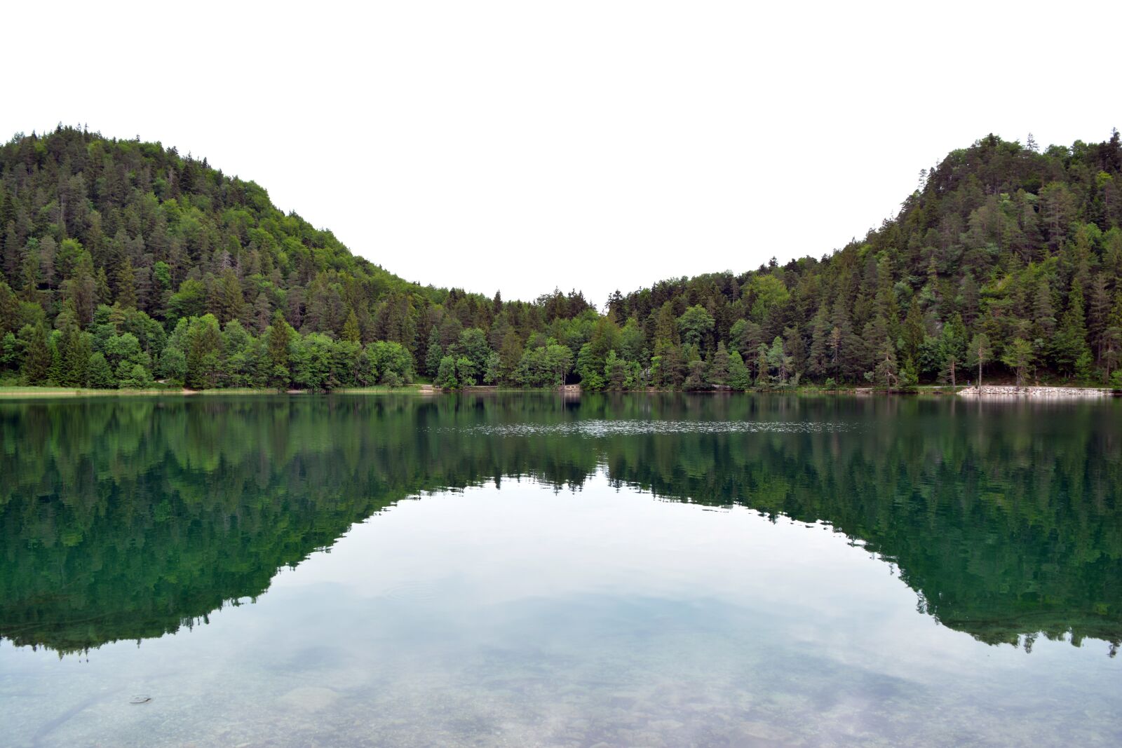 Nikon D5200 sample photo. Water, alatsee, allgäu photography