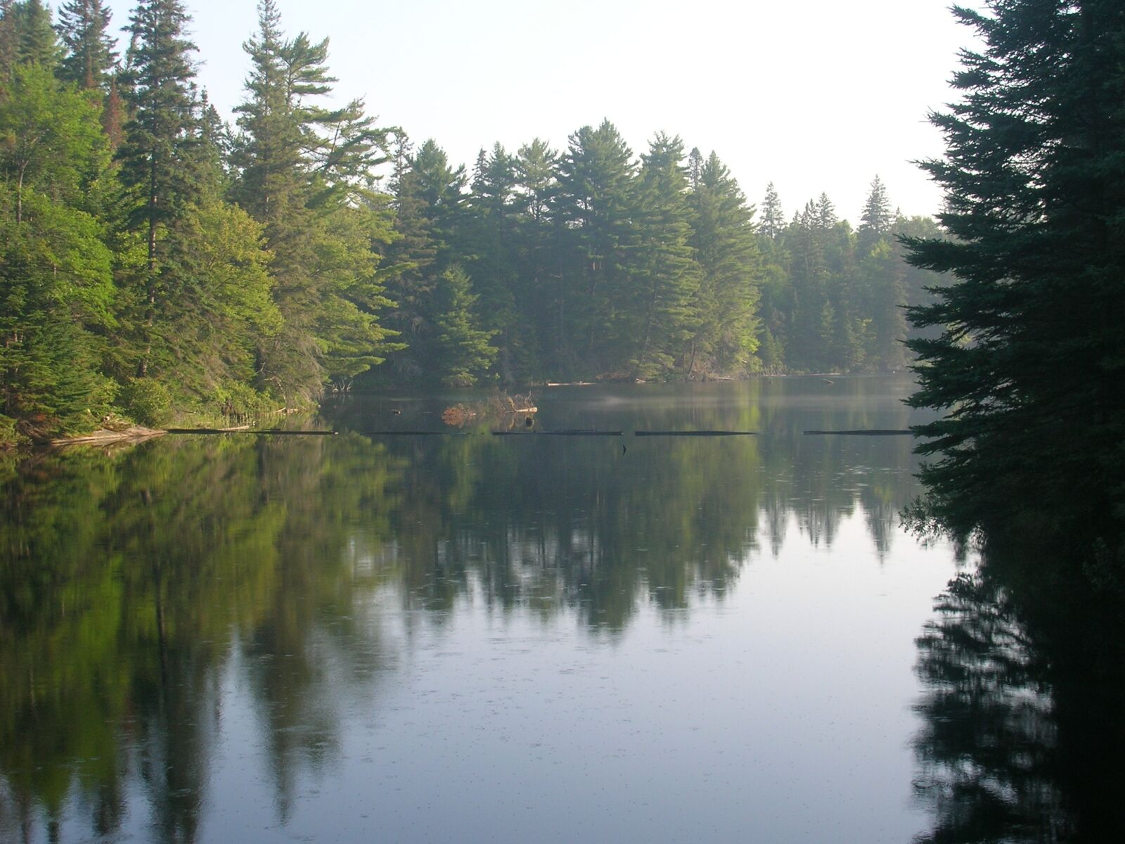 Nikon E5600 sample photo. Lake, evergreen, water photography