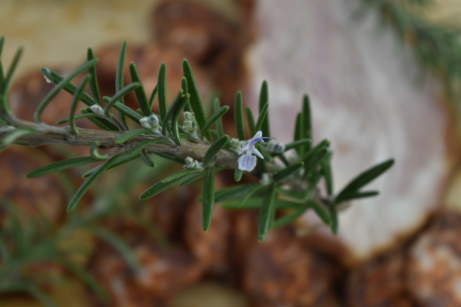 Nikon D5500 sample photo. Branch, flower, meat, pork photography