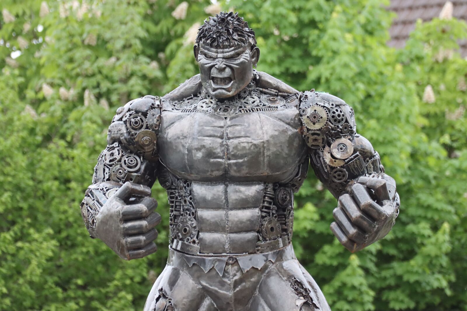 Canon EOS 90D sample photo. Fear, force, muscles photography