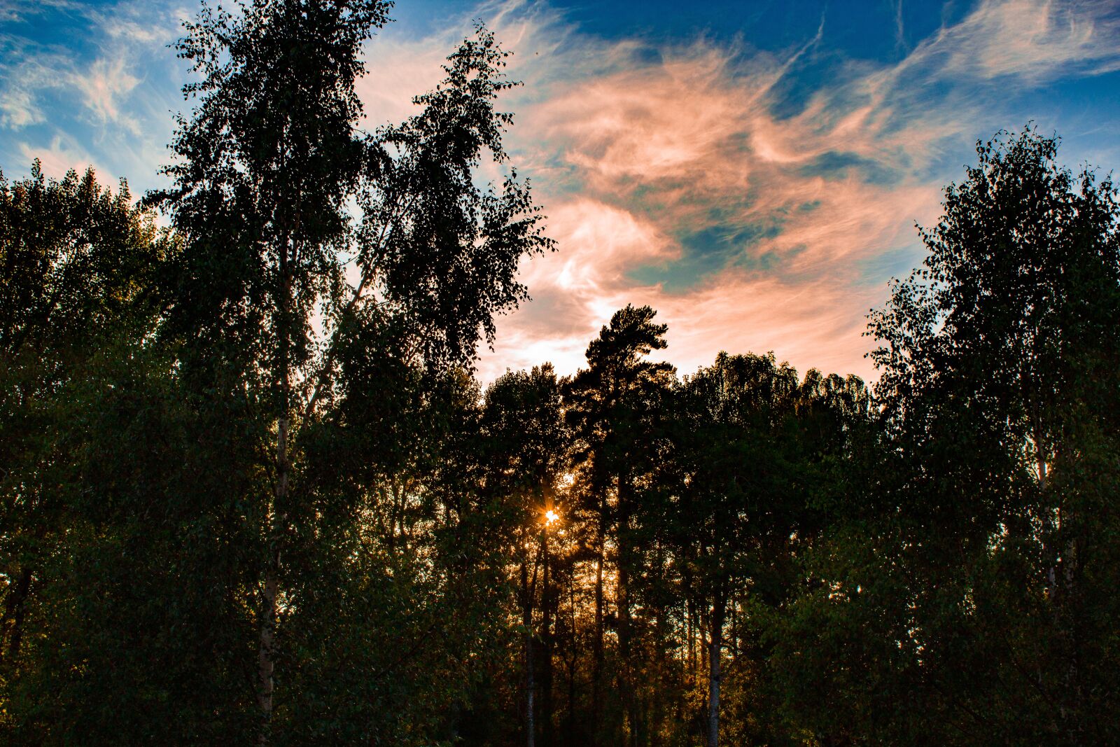 Canon EOS 1200D (EOS Rebel T5 / EOS Kiss X70 / EOS Hi) sample photo. Sunset, sweden, evening photography